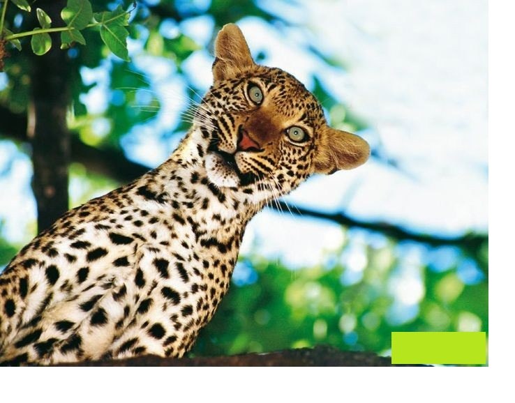 Нина Разумная | Москва