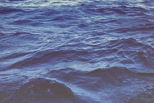 Алексей Парай | Dubai