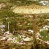 Аватар: Сергій Воронюк