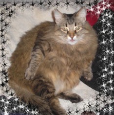 №48, Татьяна Захарова, 31 год, Зеленоград, Россия №48, Татьяна Захарова, 31 год, Зеленоград, Россия