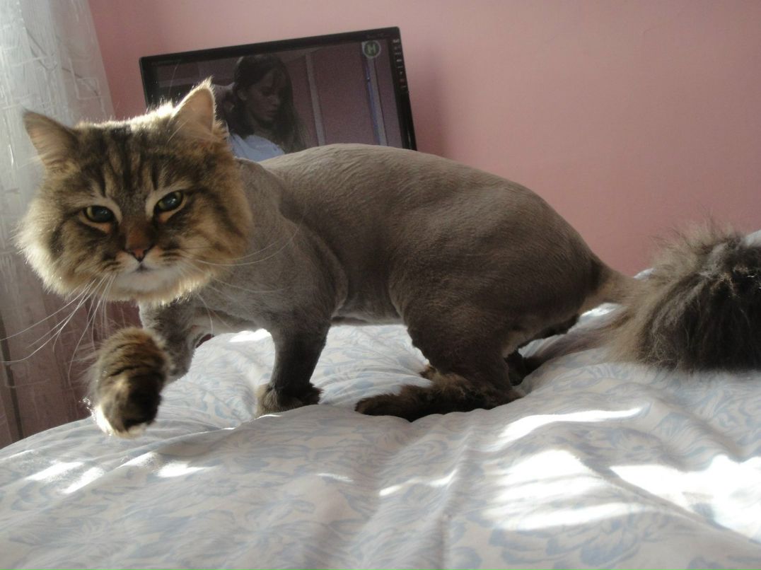 Марина Бескровная ♥ | Запорожье