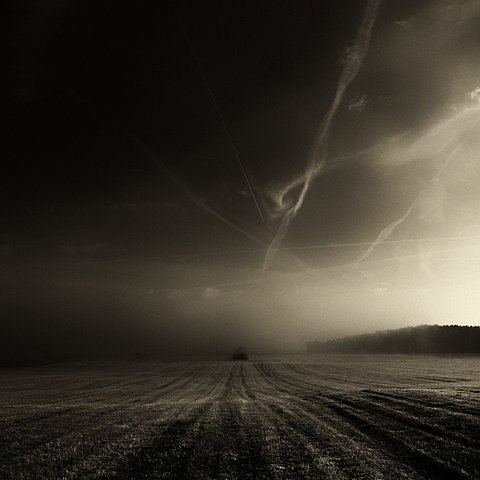 Артем Nosti | Краснодар