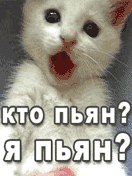 №137, Полина Колесниченко, Ачинск №137, Полина Колесниченко, Ачинск