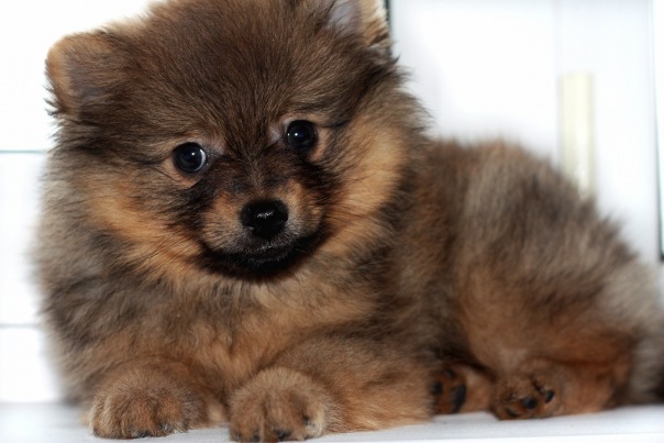 №9, Ирина Ковпоша, 34 года, Киев №9, Ирина Ковпоша, 34 года, Киев