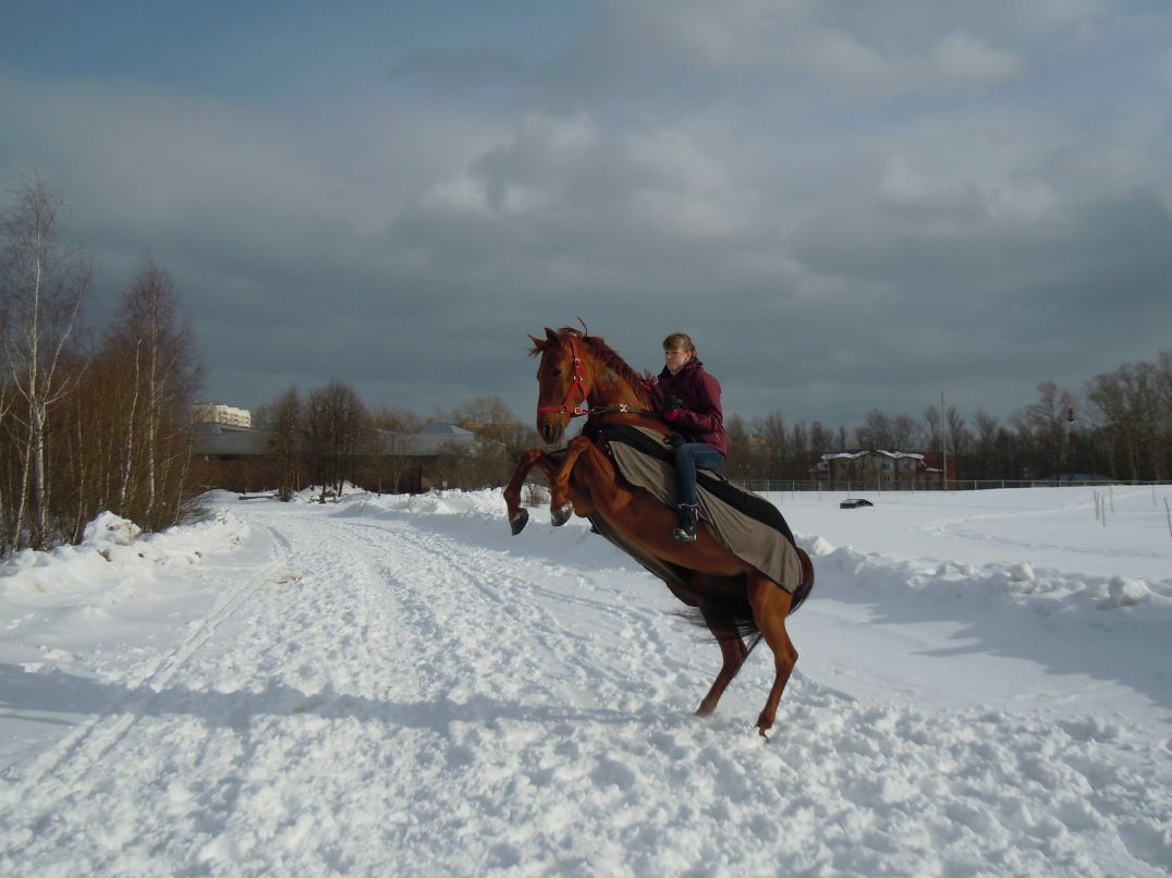 Лана Успенская | 
