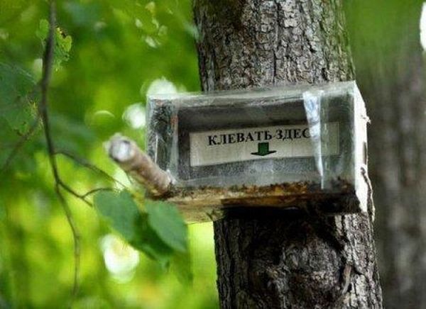 №30, Дмитрий Стрельчин, Киев №30, Дмитрий Стрельчин, Киев