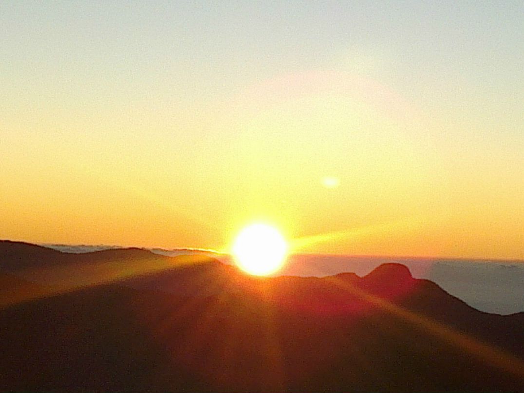 Ольга Андрушевич | Москва