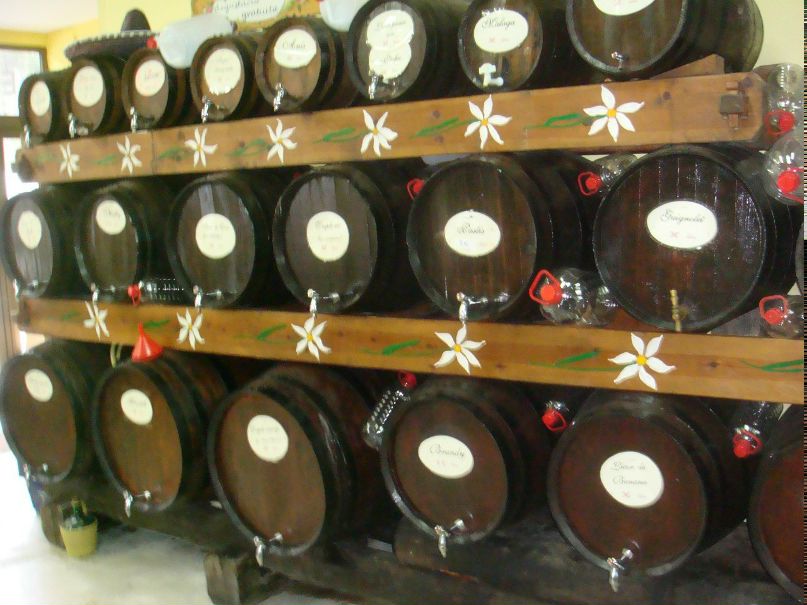 Светлана Хруцкая | Москва