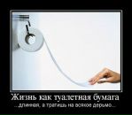 Фотография Ринат Сирачев