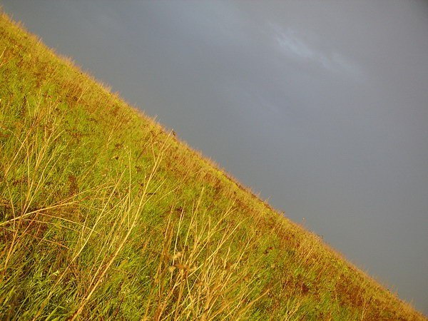 Yana Mayorova | Санкт-Петербург