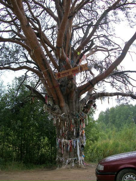 №11, Рома Богданов №11, Рома Богданов