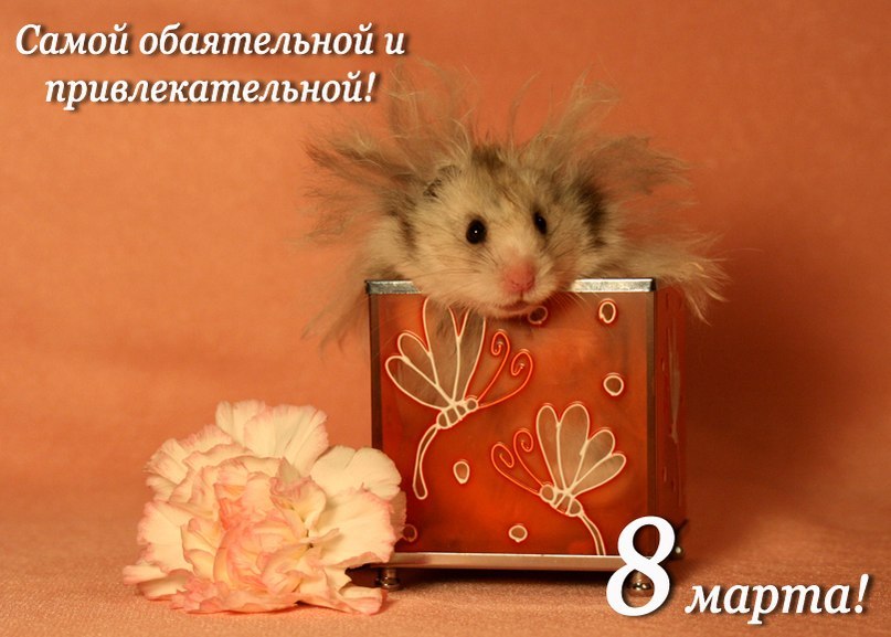 Наталья Колдакова | Северодвинск