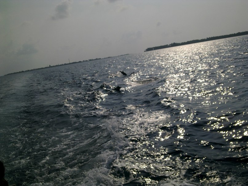 Настя Шевцова | Тамбов