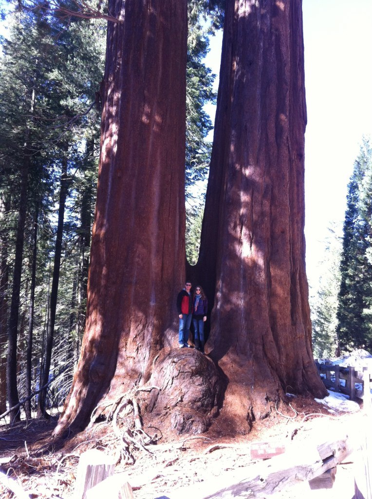 Anastasiia Smyrnova | Киев