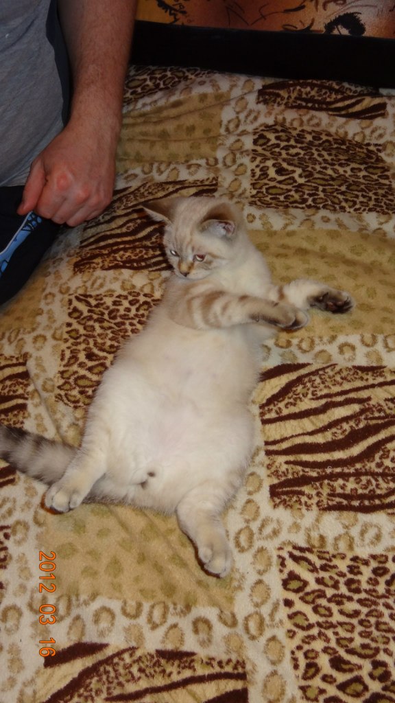 Наталия Листова | Санкт-Петербург