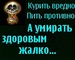 Альберт Аджиев фотография #35