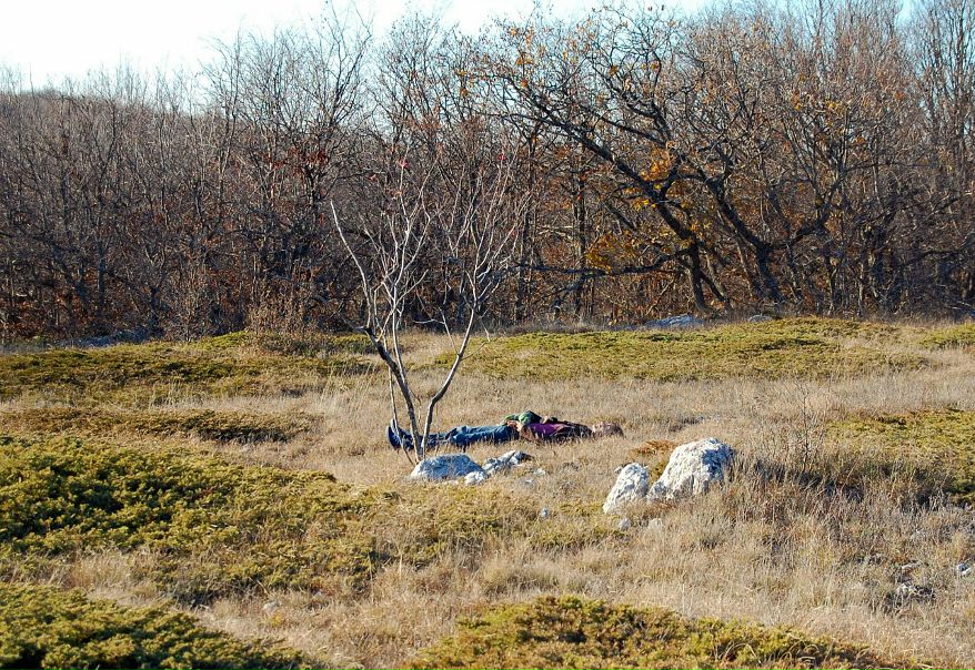 №121, Liza Andreyeva, Симферополь №121, Liza Andreyeva, Симферополь