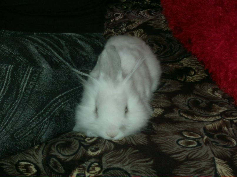 Вадик Усанин MASTER | Пермь