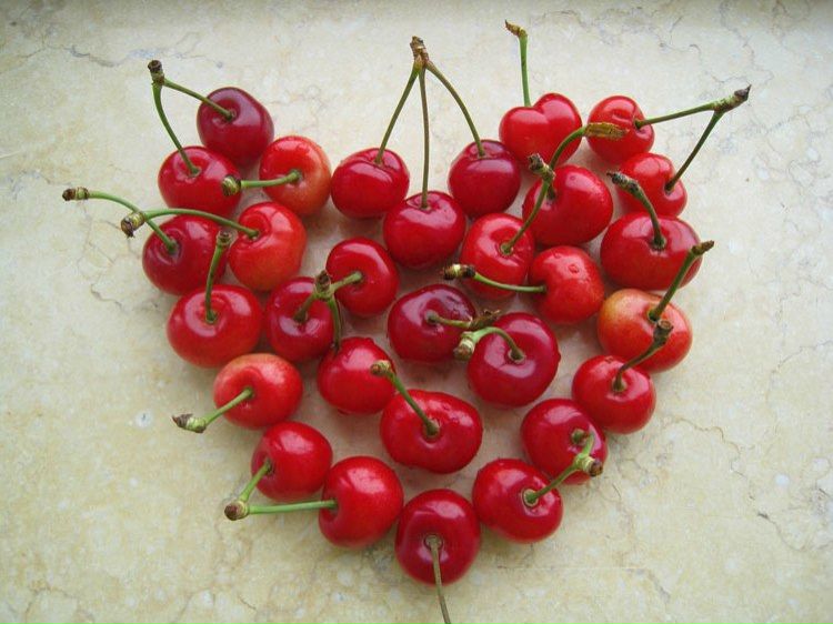 №11, Таня Шестель №11, Таня Шестель