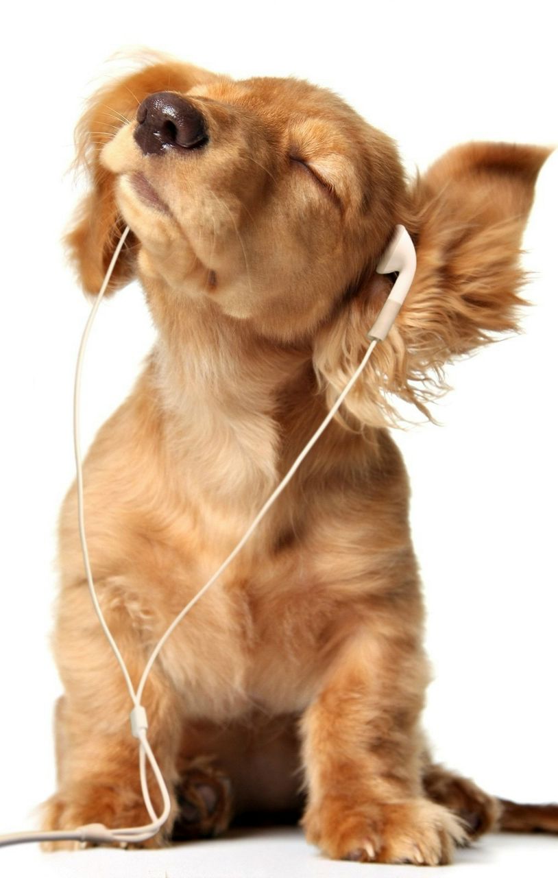 Людмила Азаренко | Харьков