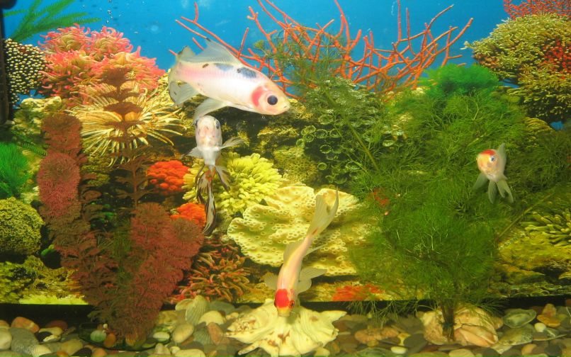 Наталия Золотова | Всеволожск