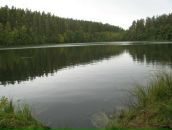 №29 Ольга Солнце 03.12.1983: профиль, фото, статус - ВКонтакте