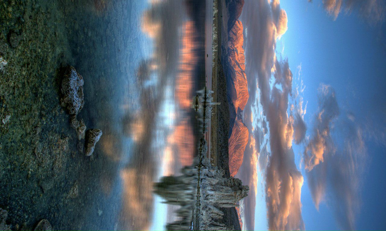 Николай Шальнев | Москва