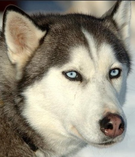 Денис Чуканов ۩ $ ۩ | Москва