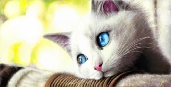 Екатерина Вахновская **..• ○♥  Ket ♥○ •..** | Великая Лепетиха