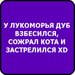 Рома Мухаметгалиев фотография #29