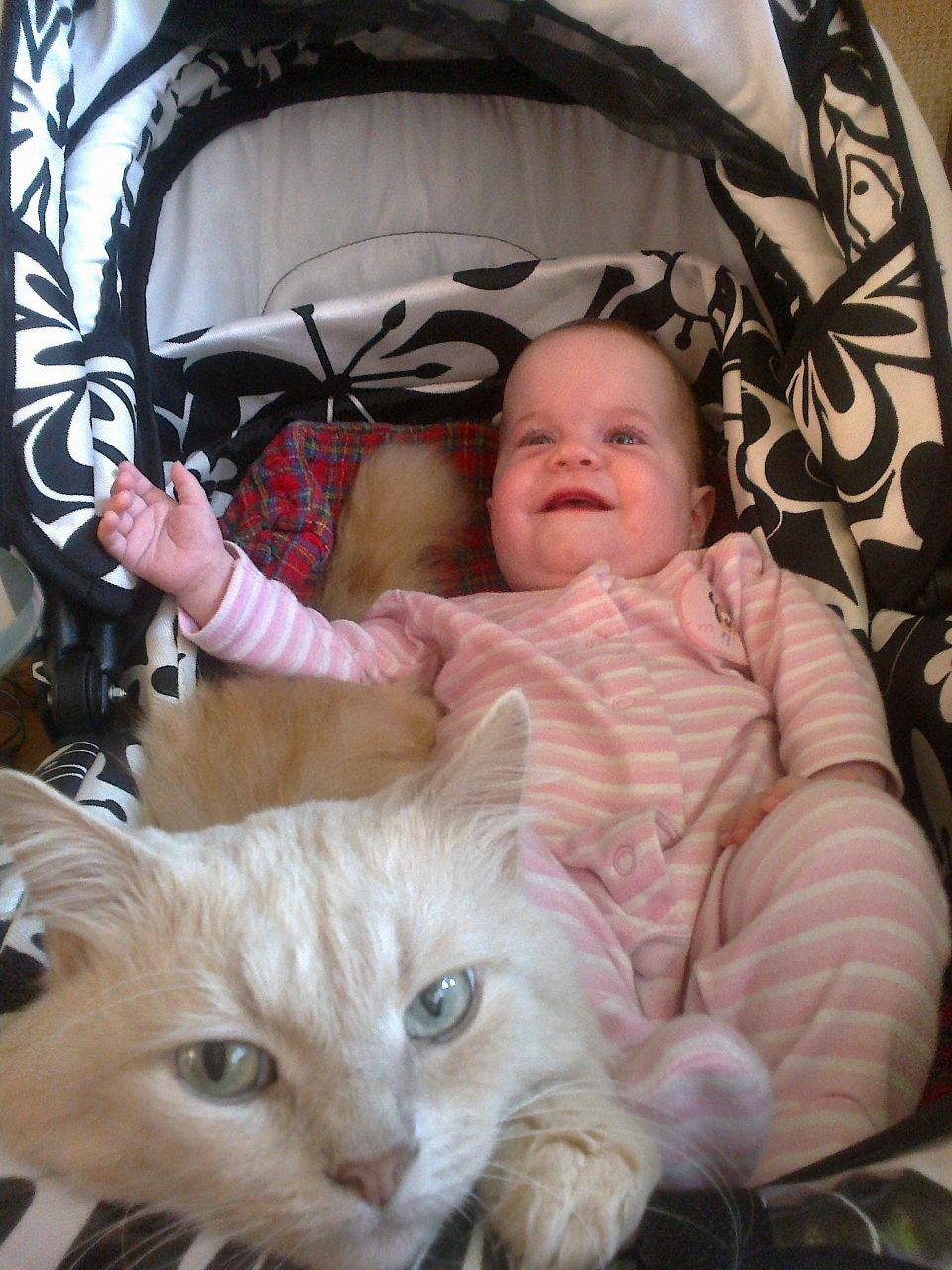 Алёна Ващенко Александровна | Днепр (Днепропетровск)