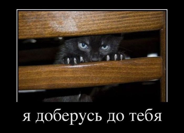 Анна Василькова | 