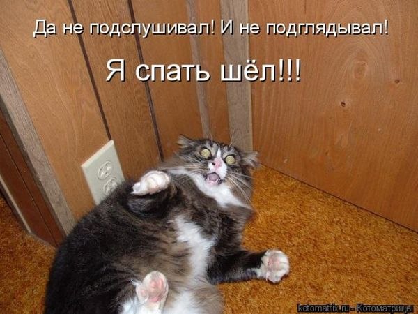 Марья Синицына | Брянск