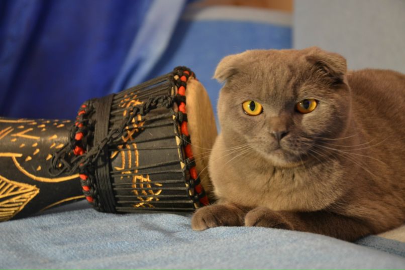 Елена Зубик Lenulk@ | Одесса