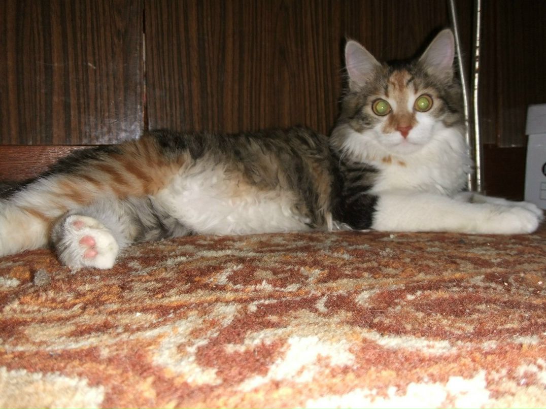 Анна Бучкова | Рязань