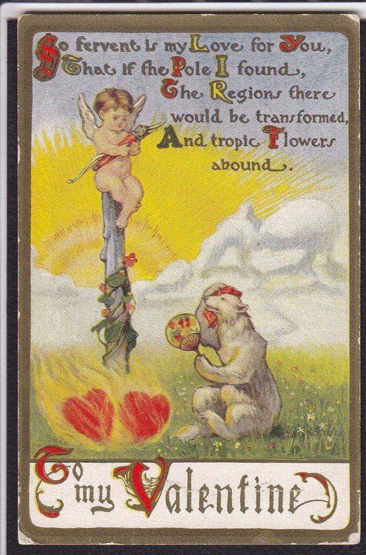 Максим Кошелев | Санкт-Петербург