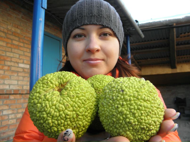 Екатерина Сапончик | Речица