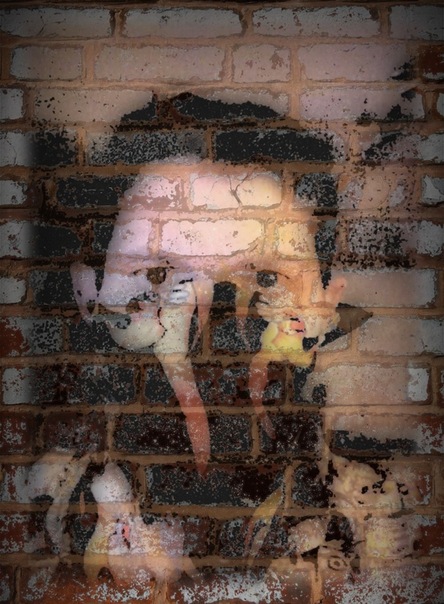 №139, Jhonny Blaze, Санкт-Петербург №139, Jhonny Blaze, Санкт-Петербург