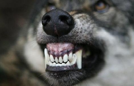 Иван Куркурин Николаевич | Донецк