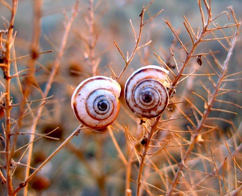 Юлия Есаулова | Санкт-Петербург