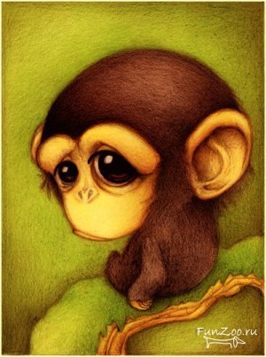 Полина Турская | Пермь