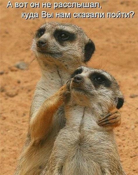 №128, Ира Могильникова, 38 лет, Москва №128, Ира Могильникова, 38 лет, Москва