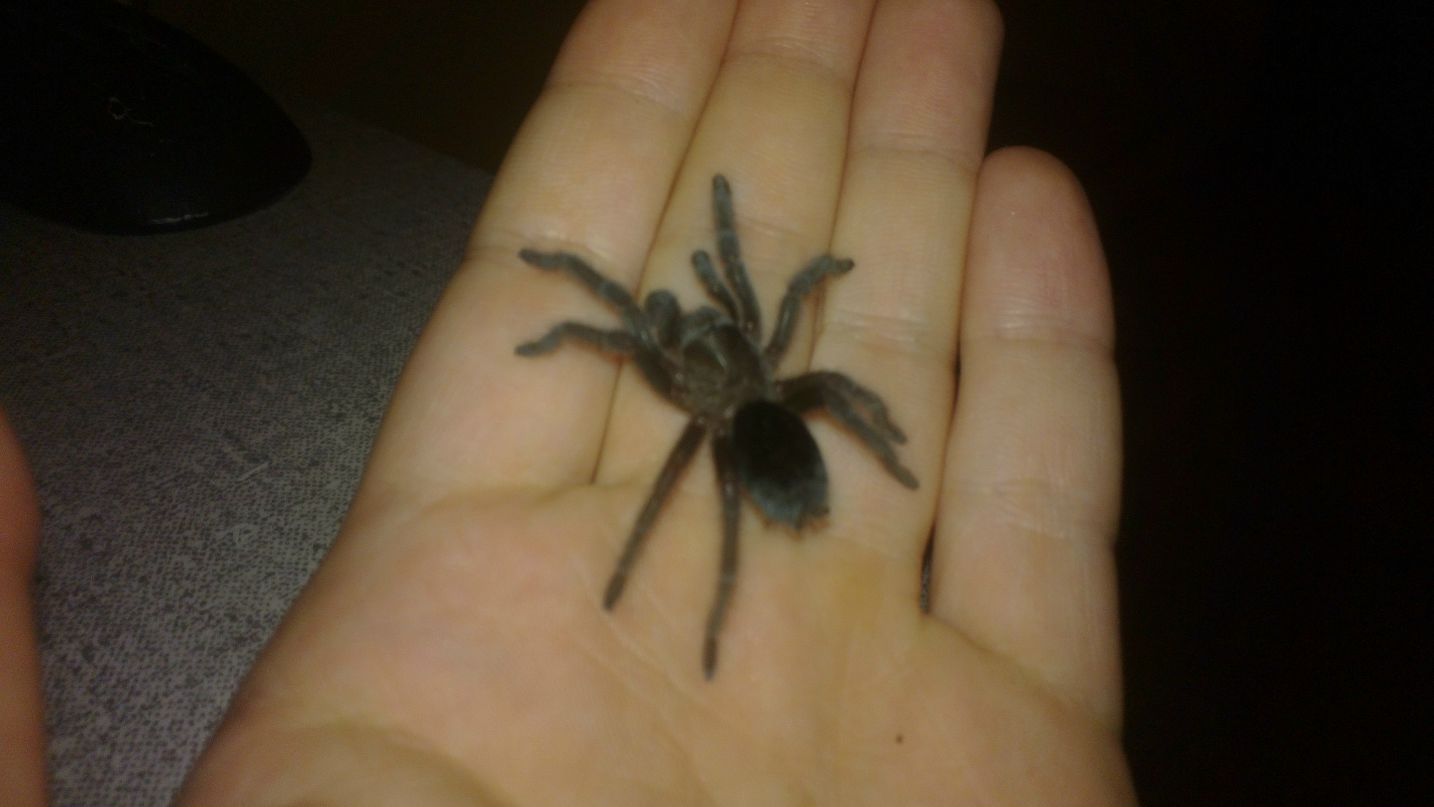 Евгений Климов | Москва