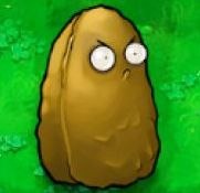 Наталья Крапчатова | Москва