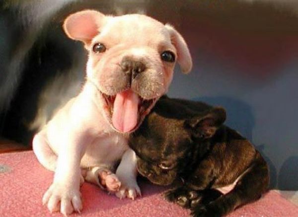 №91, Вероника Кричевцова, Люберцы №91, Вероника Кричевцова, Люберцы