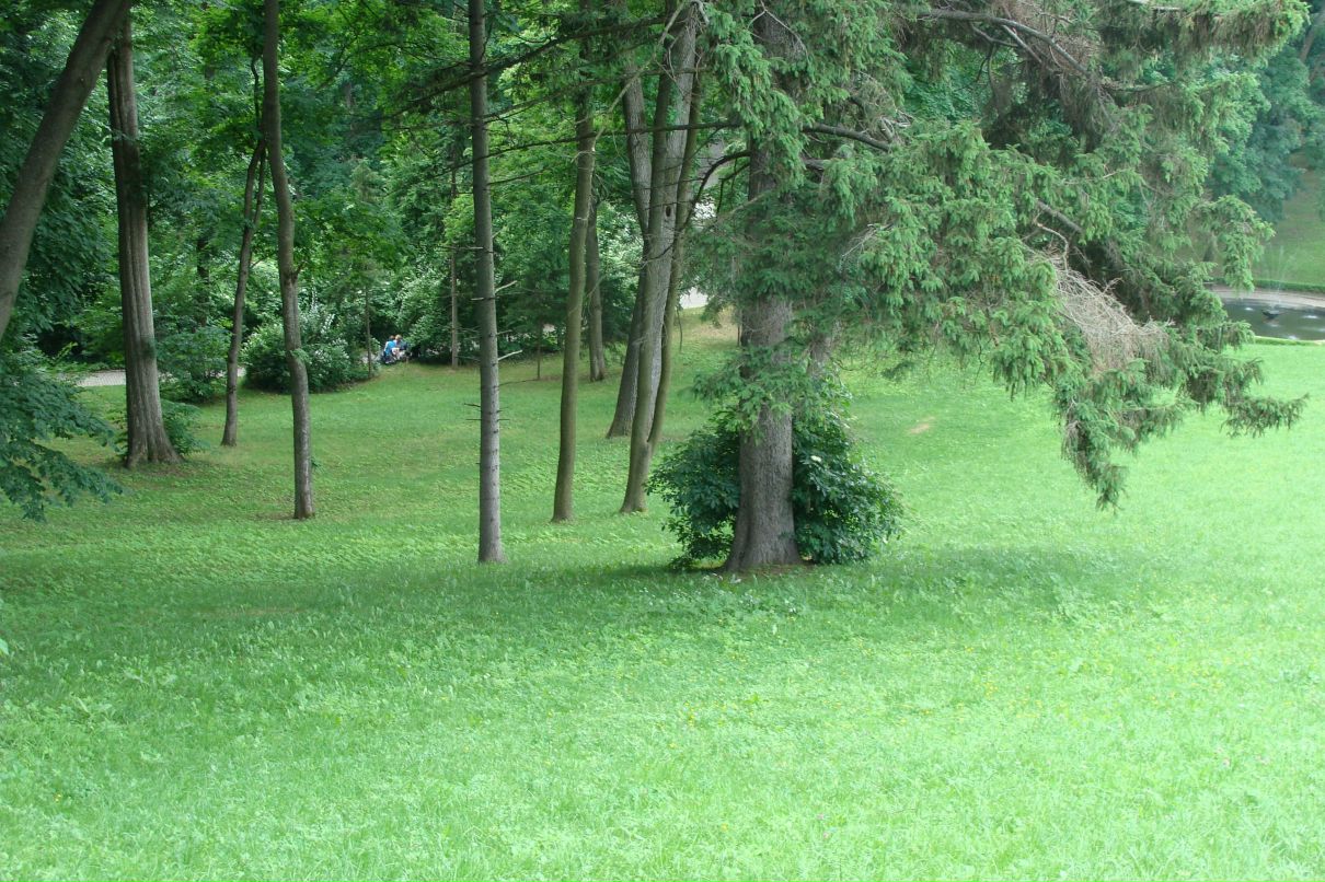 Ольга Алекс Алекс | Николаев