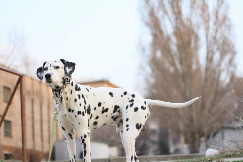 Славик Аджигитов | Москва