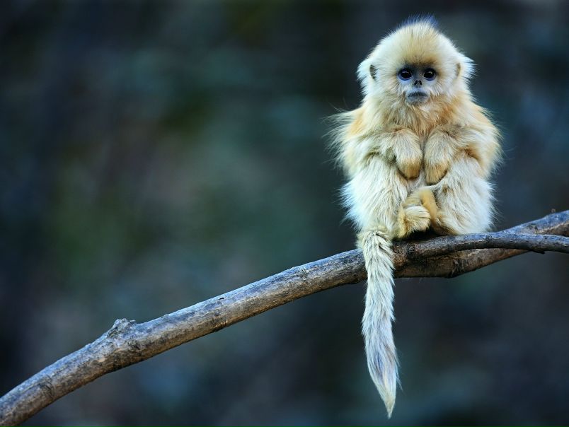 №24, Ольга Климчук, Днепр (Днепропетровск) №24, Ольга Климчук, Днепр (Днепропетровск)