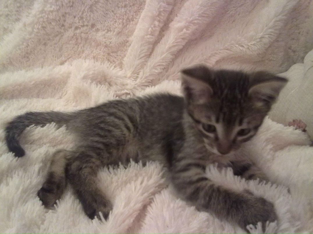 Va Sęk | Москва