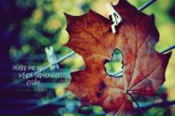 №39 Ирина Афанасьева : профиль, фото, статус - ВКонтакте